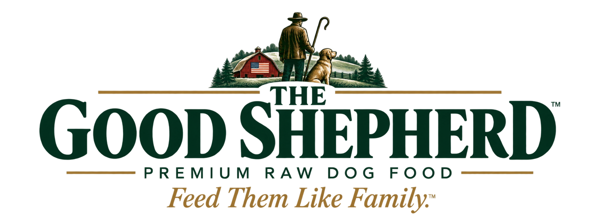 The Good Shepherd